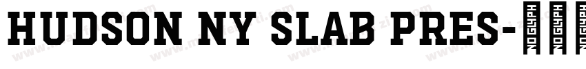 Hudson NY Slab Pres字体转换